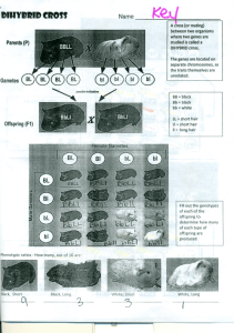 answer key