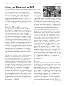 History of Pinot noir at FPS