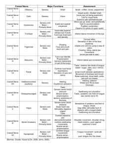 Cranial Nerve Major Functions Assessment