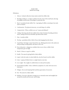 Study Guide Rabbit Knowledge Definitions: 1. Abscess