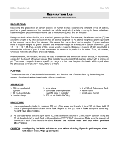 respiration lab - VicPark-IBRoundtable-2009