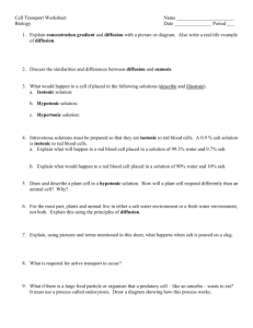 10: Cell – Passive Transport Worksheet