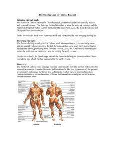 The Muscles Used to Throw a Baseball