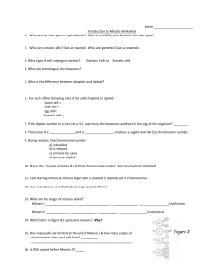 Meiosis Review Worksheet