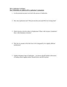 DNA replication worksheet