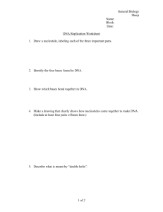 DNA Replication Worksheet