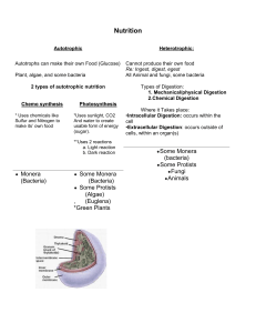 Nutrition