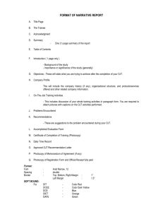 format of narrative report