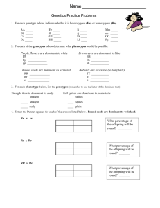 Genetics Practice Problems – Simple