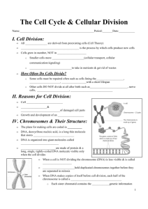 The Cell Cycle & Cellular Division