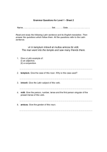 Level 1, Year 8, general grammar practice sheets