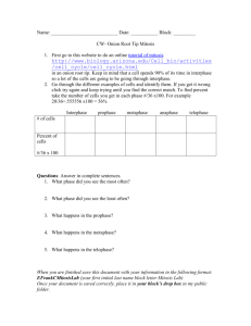 Onion Root Tip Mitosis Lab