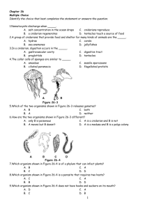 Chapter 26 quiz