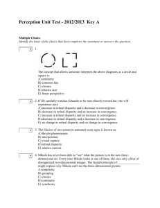 Perception Test