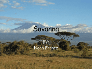 Savanna biome