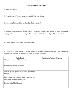 Evolution Review Worksheet