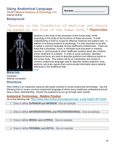 Anatomical Language