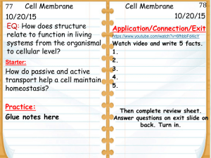 Cell Membrane