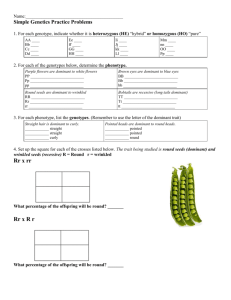 Simple Genetics Worksheet