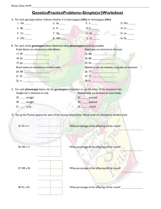 Super Peas Genetics Practice