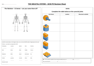 THE SKELETAL SYSTEM – GCSE PE Revision Sheet Joints