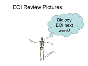 EOI-Review-Pictures
