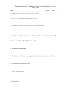 Human Body Unit 2: Integumentary System and Circulatory System