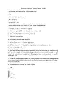 Prokaryote and Passive Transport Review Answers