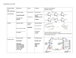 MACROMOLECULES CHART General Name for Macromolecule