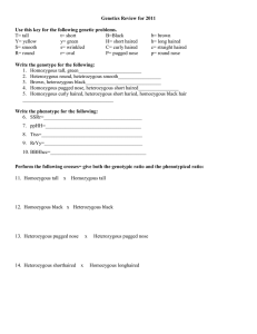 Genetics_Review_for_2011