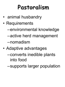 Pastoralism PPT