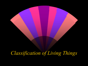 Classification of Living Things