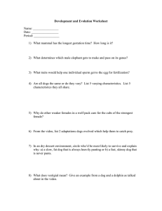 Development and Evolution Worksheet  Name: ________________ Date: _________________