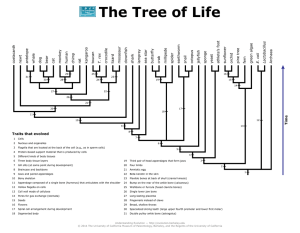 The Tree of Life