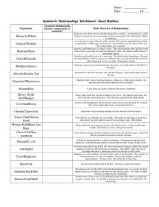 Symbiotic Relationships Worksheet—Good Buddies Barnacle/Whale  Symbiotic Relationship