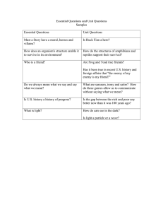 Essential Questions and Unit Questions Samples  Essential Questions