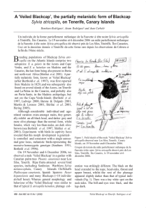 rodriguez_et_al_2008_bull_abc.doc