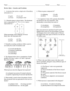 Review - Genetics and Evolution