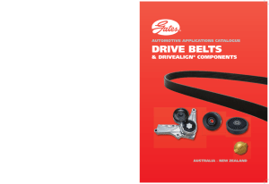 DRIVE bElTs