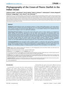 Phylogeography of the Crown-of-Thorns Starfish in the Indian