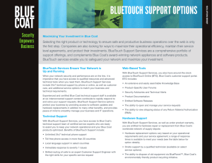 bluetouch support options