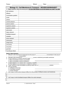 cell membrane and transport review worksheet