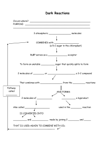 Dark-Reactions-concept-map (3)