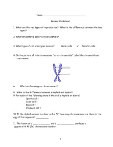 Meiosis