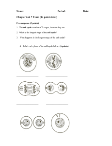 cell cycle, meiosis, chromo test