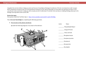 Biological Membranes Worksheet