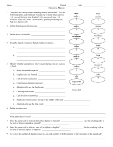 Mitosis vs Meiosis Worksheet