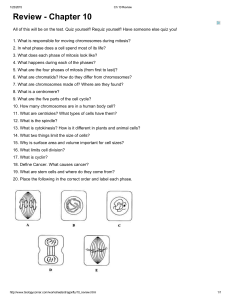 Cell division review