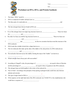 DNA-RNA Worksheet