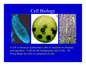 Cell Biology